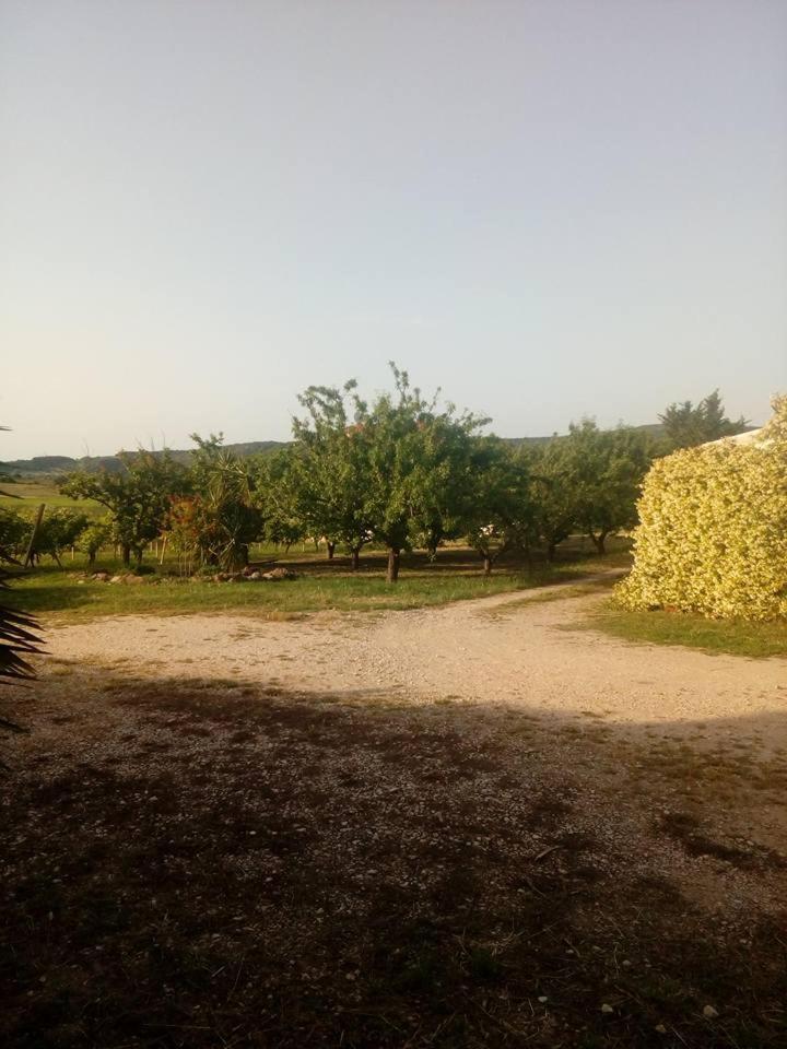 Residenza Agrituristica Santa Lucia Con Piscina Apartman Alghero Kültér fotó