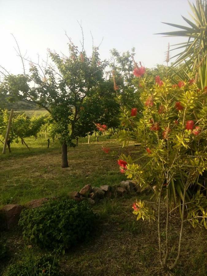 Residenza Agrituristica Santa Lucia Con Piscina Apartman Alghero Kültér fotó
